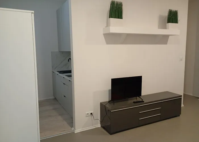 Nr 9 - Kamienica Kameralna - Senatorska 4 - Dostep Na Kod Apartamento